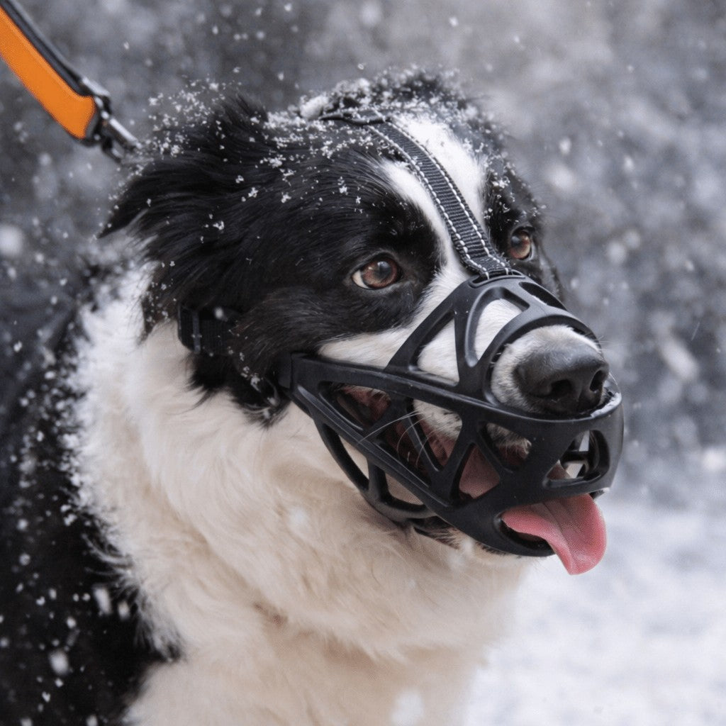 Soft breathable fabric dog muzzle on a dog - product photo 1