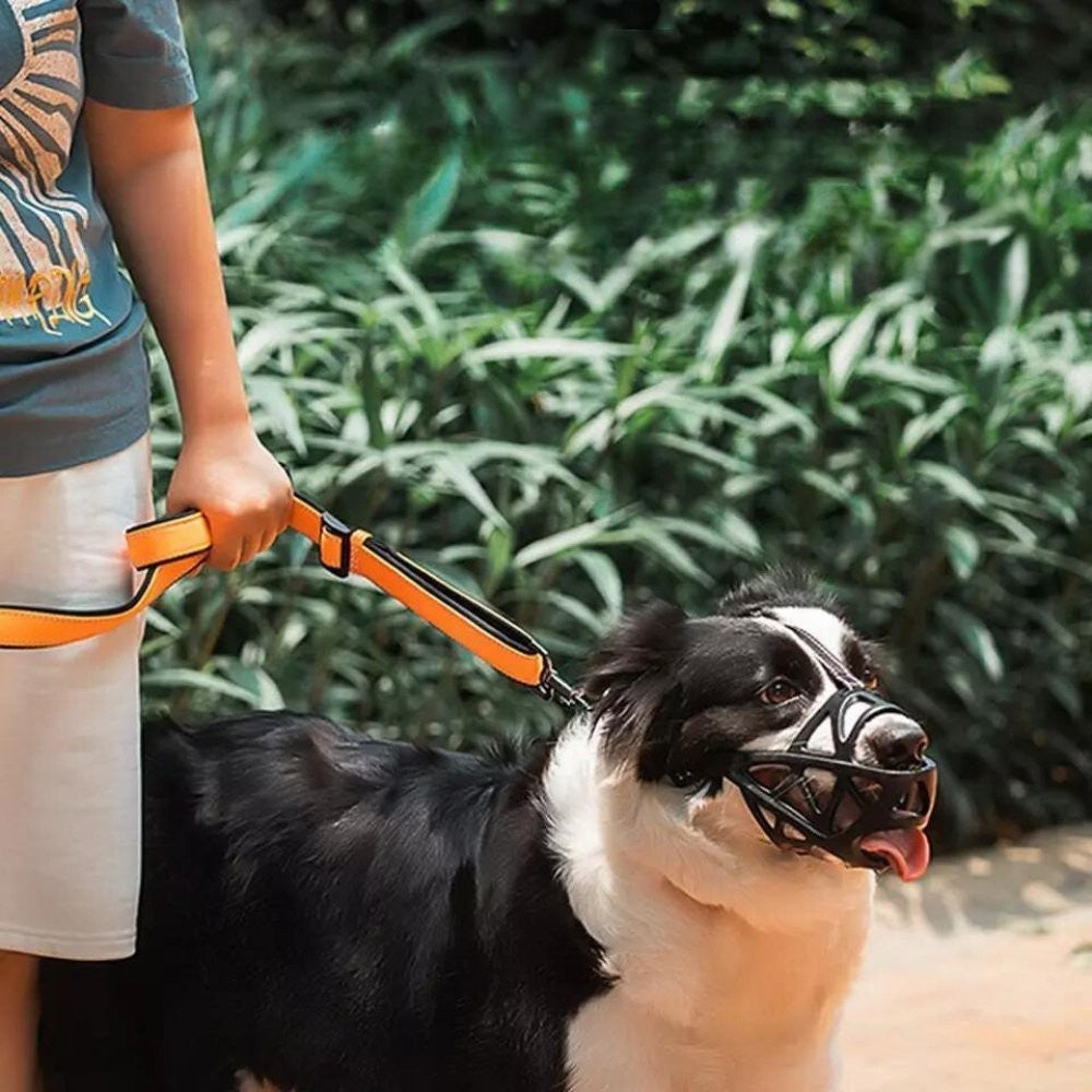 Soft breathable fabric dog muzzle on a dog - product photo 10