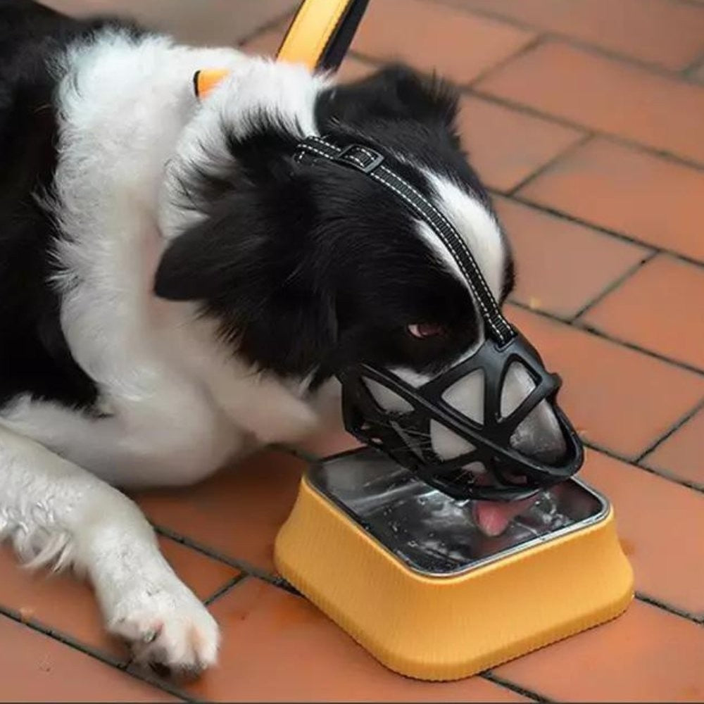 Soft breathable fabric dog muzzle on a dog - product photo 11