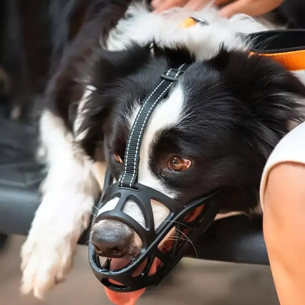 Soft breathable fabric dog muzzle on a dog - product photo 3