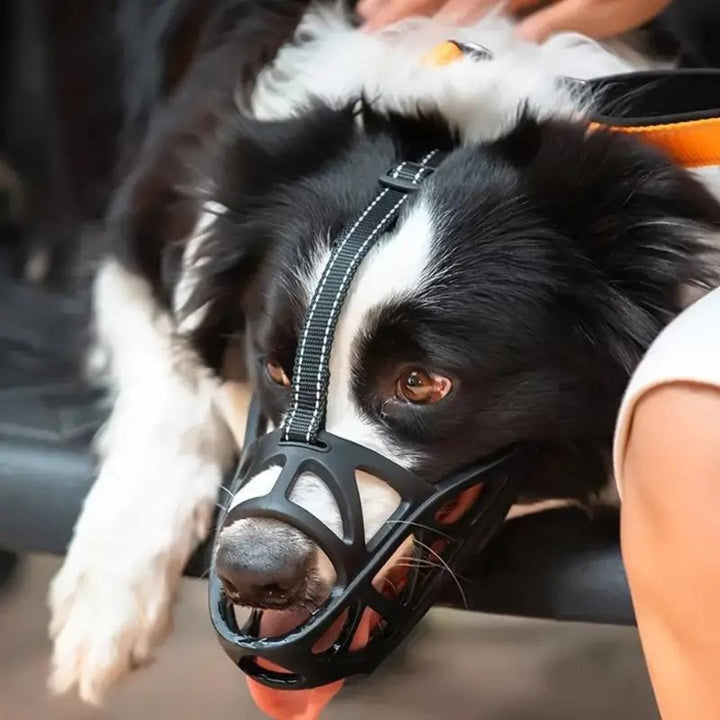 Soft breathable fabric dog muzzle on a dog - product photo 3