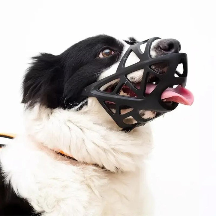 Soft breathable fabric dog muzzle on a dog - product photo 4