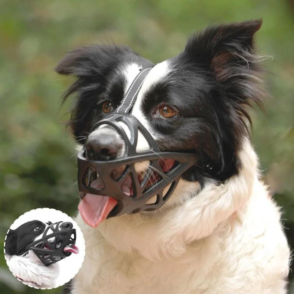 Soft breathable fabric dog muzzle on a dog - product photo 5
