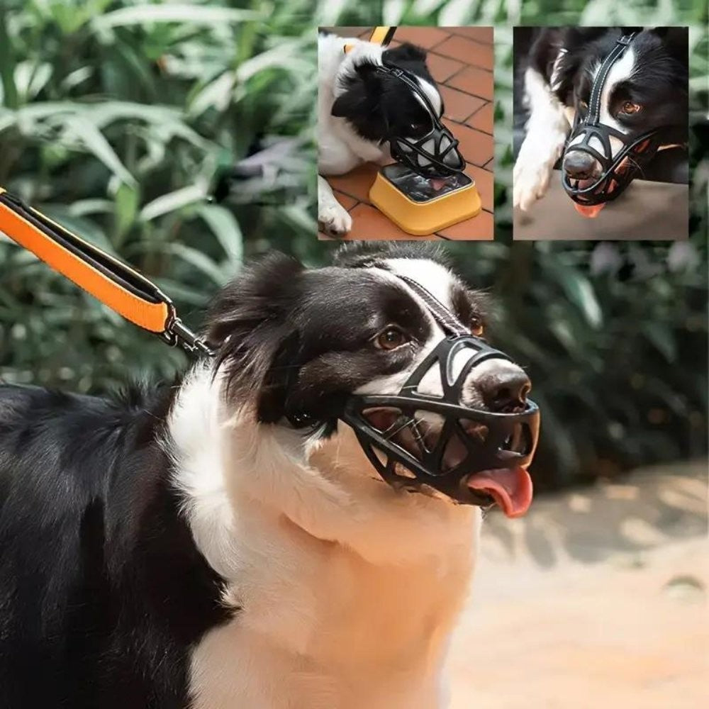 Soft breathable fabric dog muzzle on a dog - product photo 7