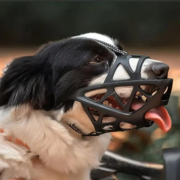 Soft breathable fabric dog muzzle on a dog - product photo 8