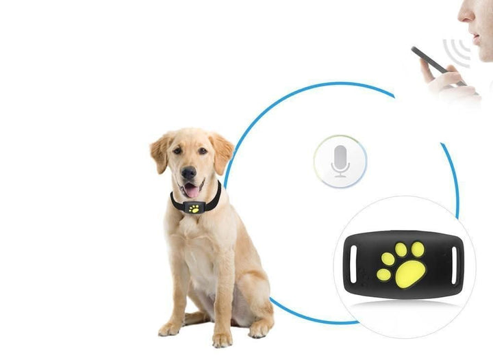Compact GPS tracker clipped to a cat's collar - product photo 3