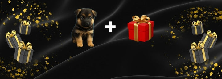Interactive robot puppy toy - product photo 9