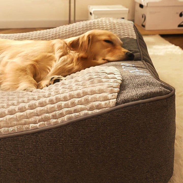 Large bolstered dog bed with a scratch-resistant washable cover - product photo 4