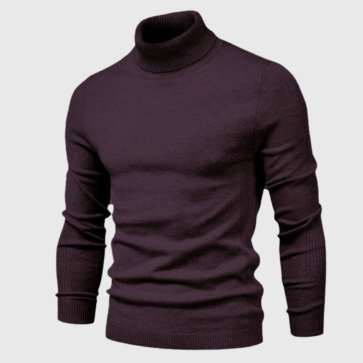 Men's fine knit turtleneck sweater - product photo 6