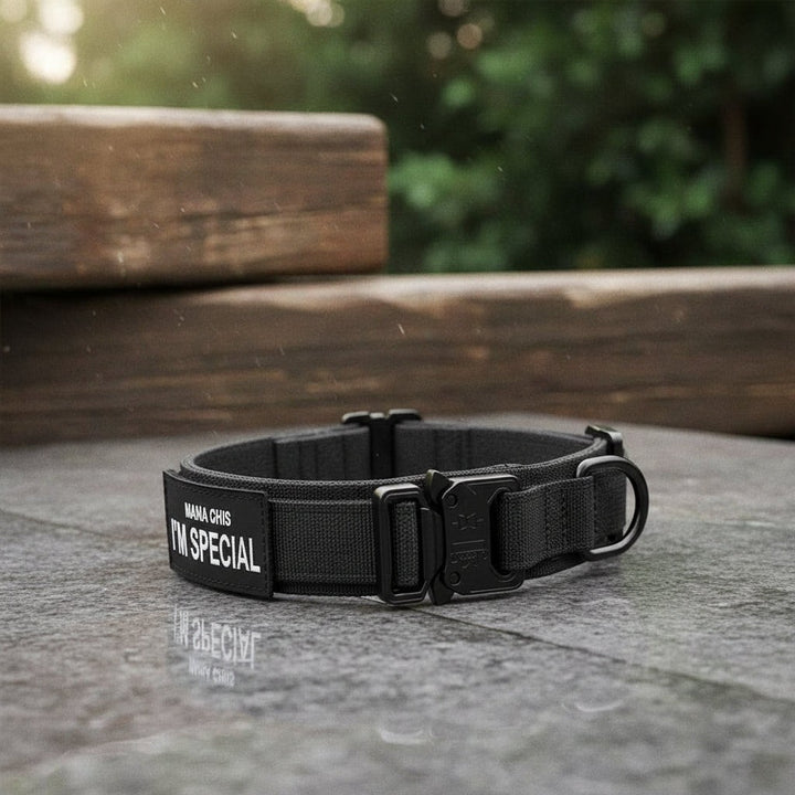 Padded nylon dog collar with an integrated control handle - product photo 1
