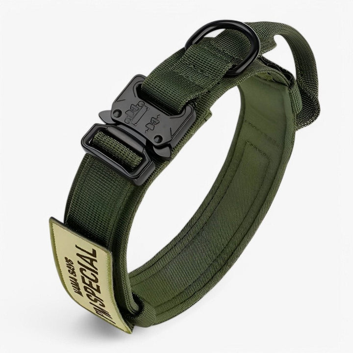 Padded nylon dog collar with an integrated control handle - product photo 2