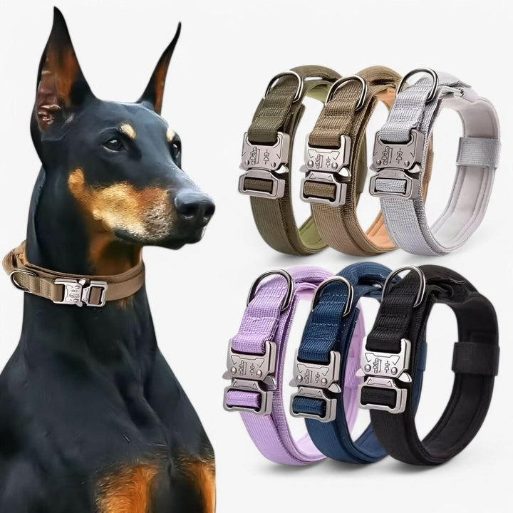 Padded nylon dog collar with an integrated control handle - product photo 3