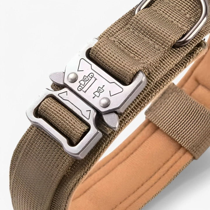 Padded nylon dog collar with an integrated control handle - product photo 4
