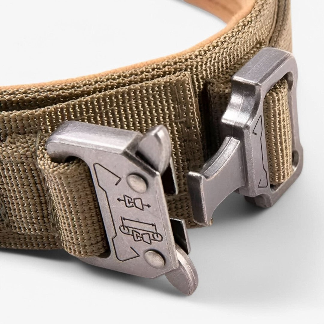 Padded nylon dog collar with an integrated control handle - product photo 5