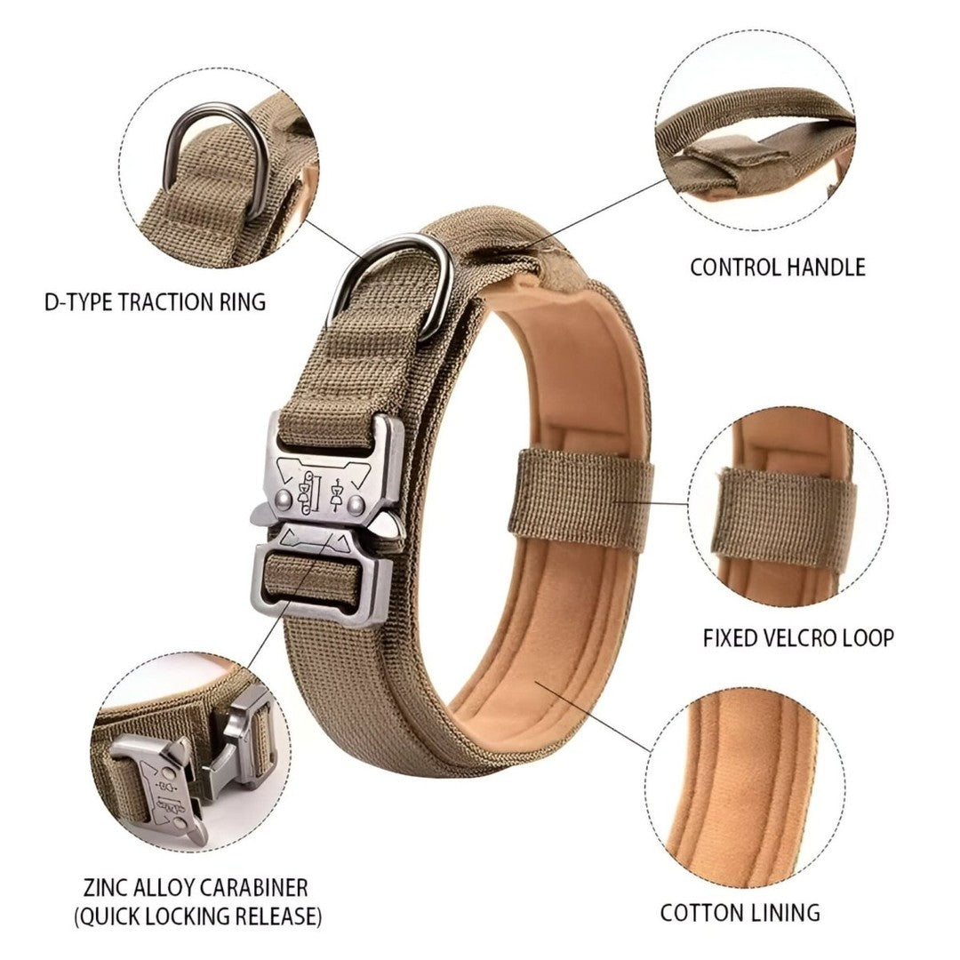 Padded nylon dog collar with an integrated control handle - product photo 6