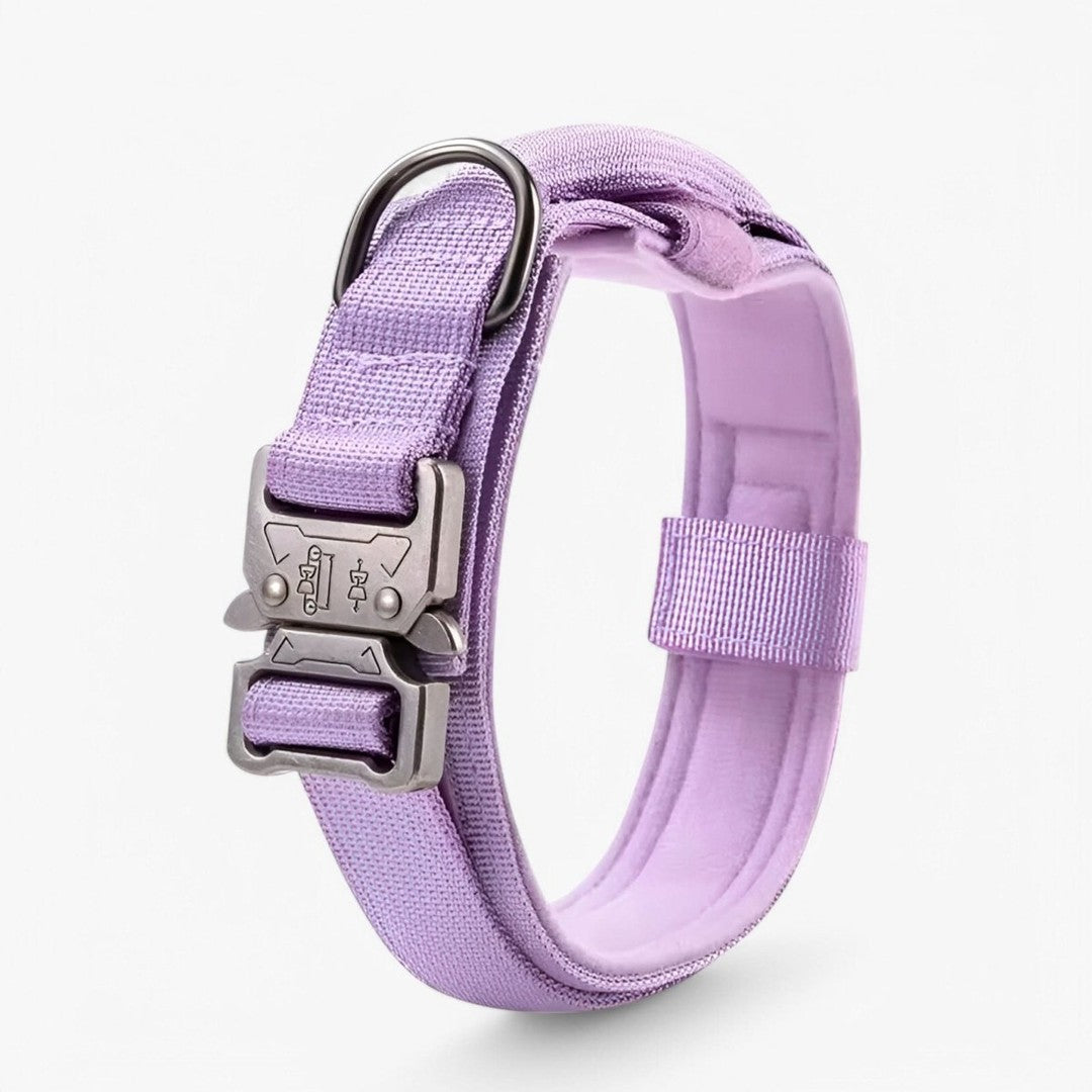 Padded nylon dog collar with an integrated control handle - product photo 7