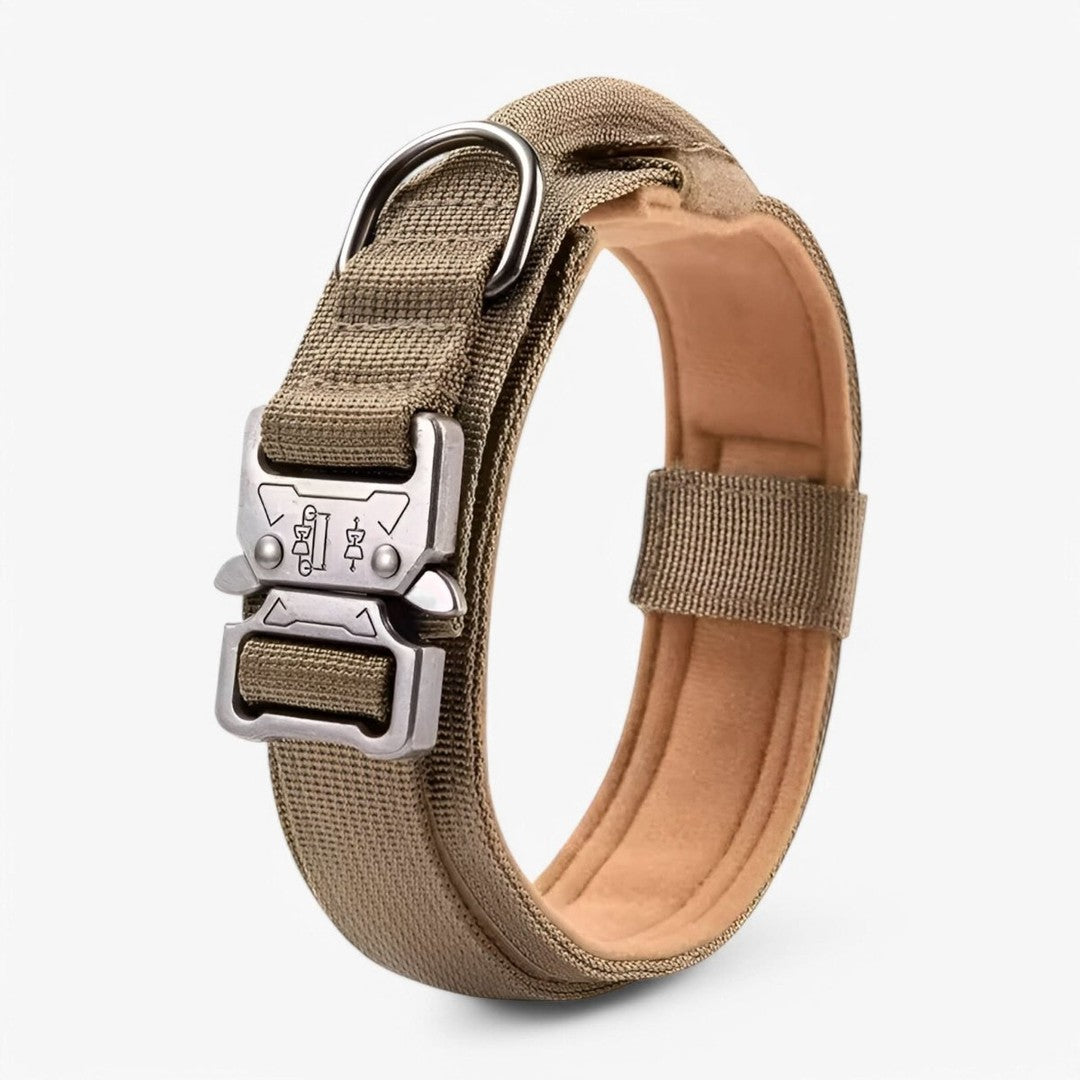 Padded nylon dog collar with an integrated control handle - product photo 8