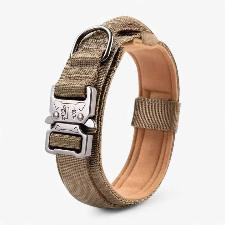 Padded nylon dog collar with an integrated control handle - product photo 8